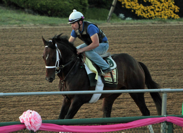 Preakness preparations
